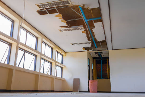 Best Carpet water damage restoration  in Broadway, NC