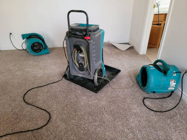 Best Basement water damage restoration  in Broadway, NC