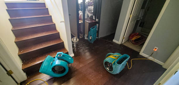 Best Carpet water damage restoration  in Broadway, NC