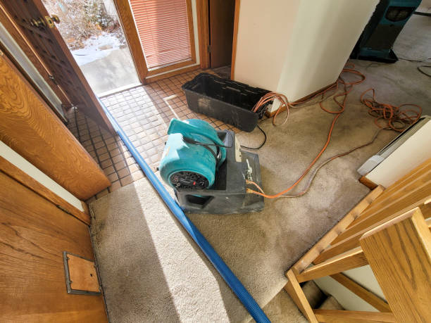 Best 24-hour water damage restoration  in Broadway, NC