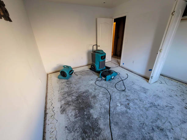 Best Flood restoration services  in Broadway, NC