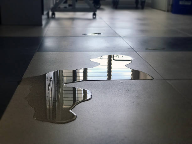 Best Water damage cleanup near me  in Broadway, NC