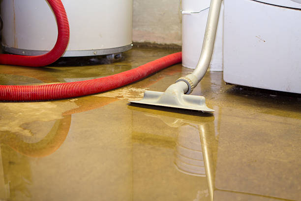 Best Professional water damage repair  in Broadway, NC