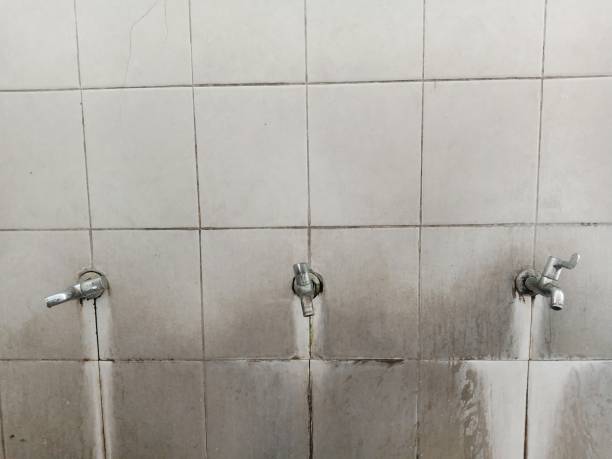 Water damage restoration mold remediation in Broadway, NC