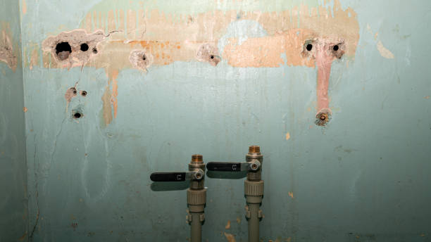 Best Water damage contractors near me  in Broadway, NC