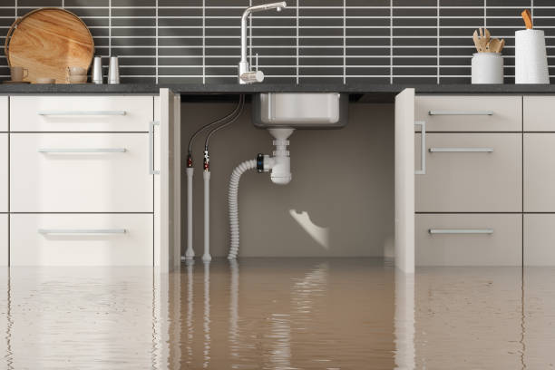 Best Fire Damage Restoration  in Broadway, NC