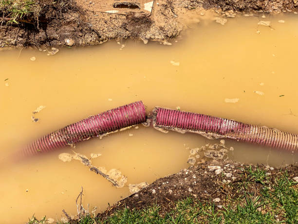 Best Flood restoration services  in Broadway, NC