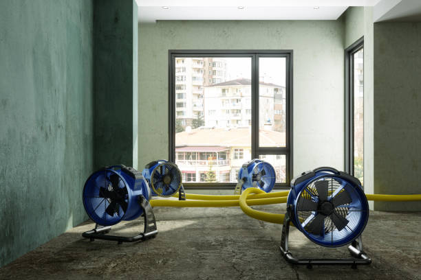 Best Sewage cleanup and water damage restoration  in Broadway, NC